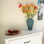 Cosy Apartamento Split